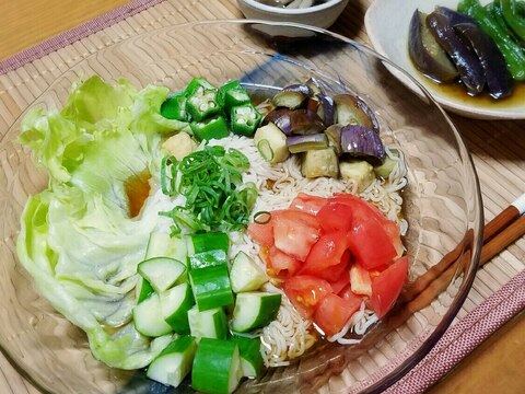 こんにゃく麺・夏野菜そうめん